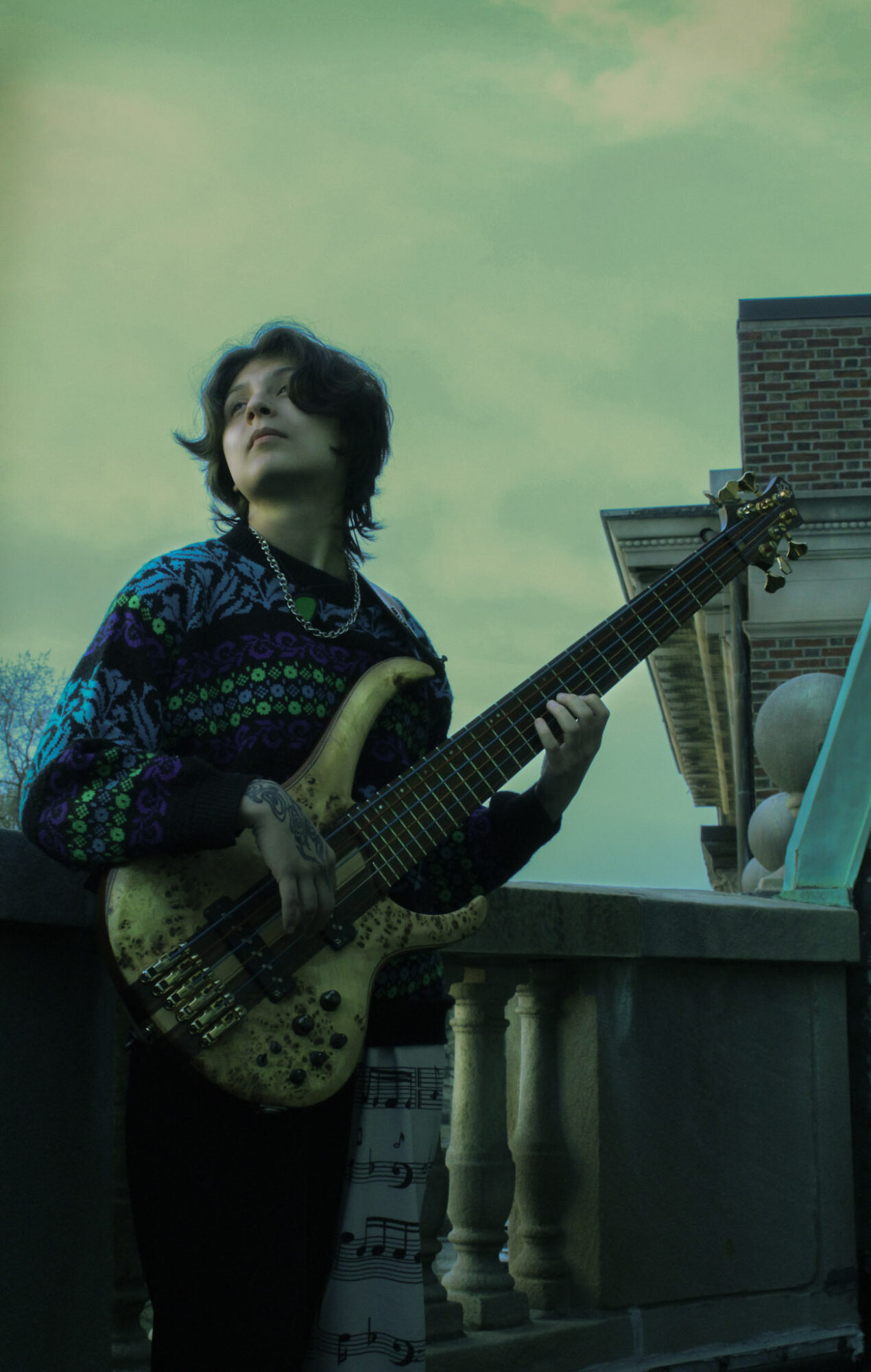 Person with dark hair holding a bass guitar on a balcony with a cloudy sky background.