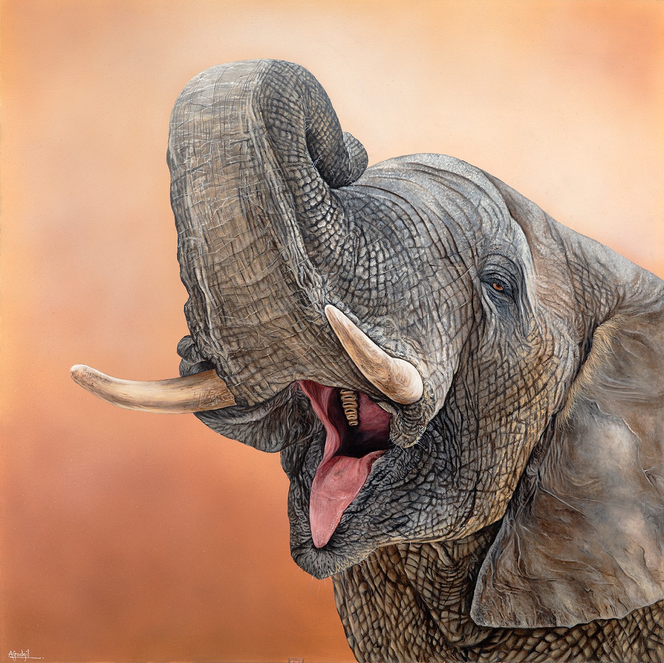 Young elephant with trunk raised and mouth open, showing tongue and tusks, against a warm background.