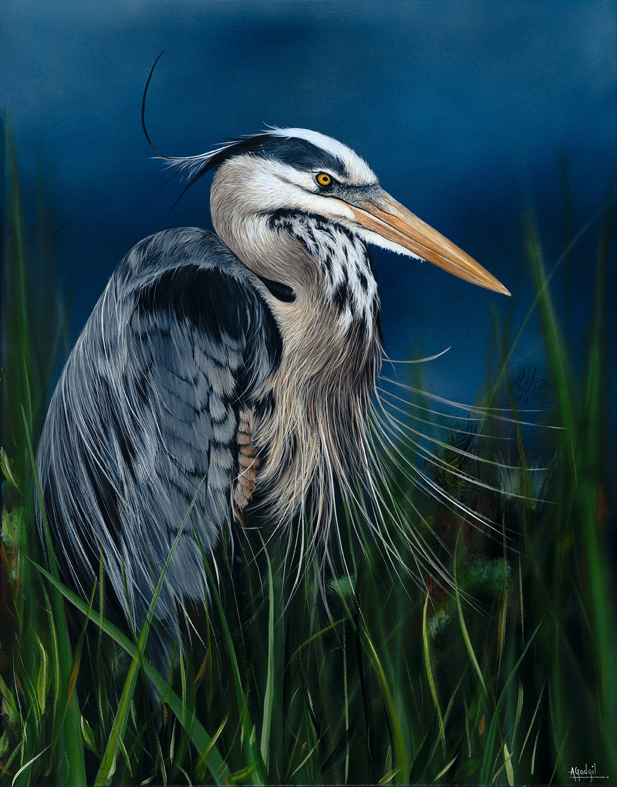 A heron standing among tall grass with a blue sky background, showing detailed feathers and a long beak.
