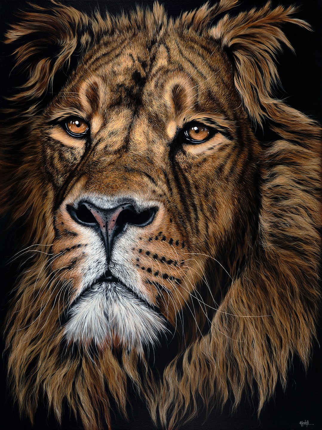 Close-up of a lion's face with detailed fur and intense eyes, against a dark background.