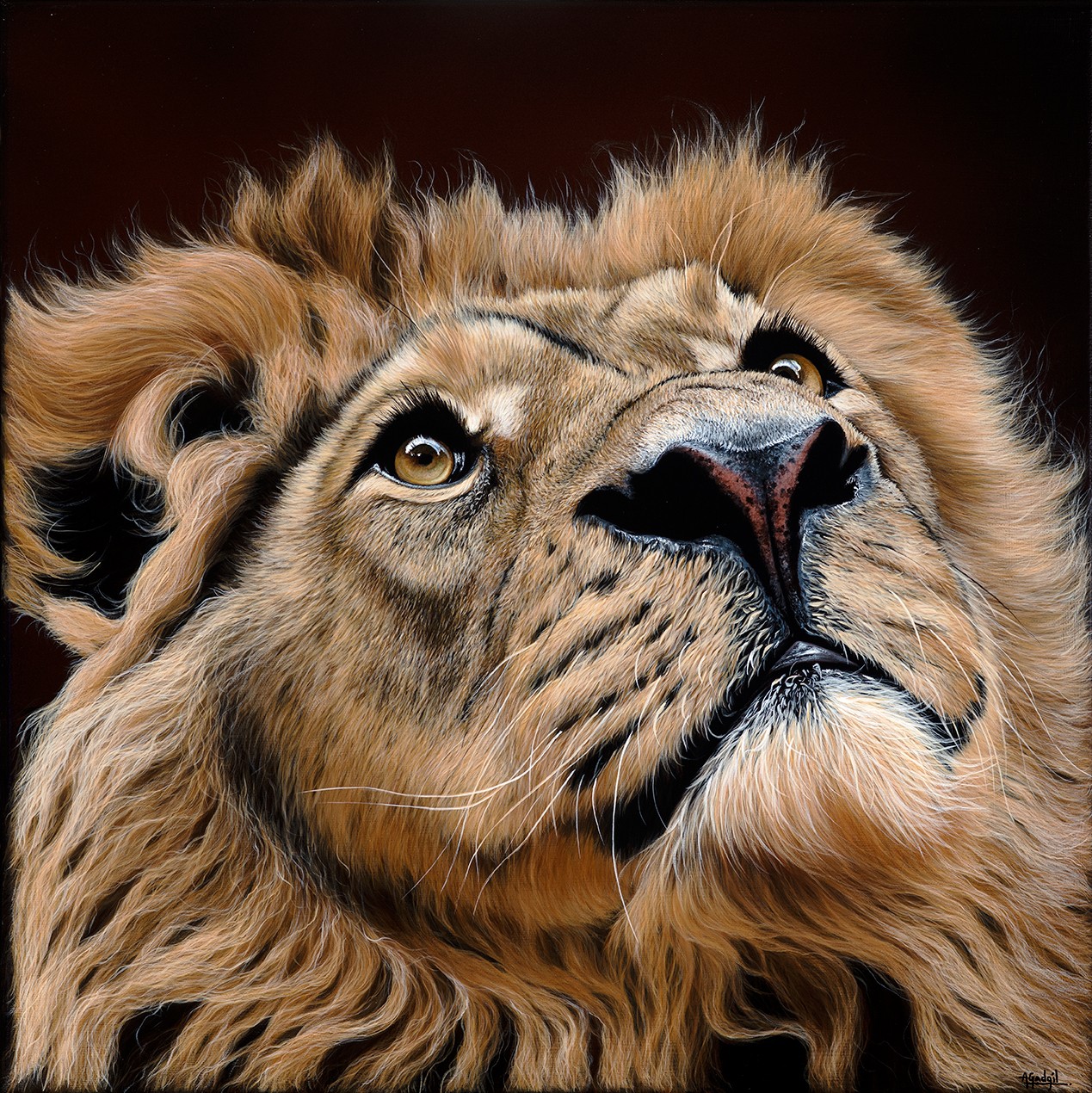 Close-up of a lion's face with a detailed mane, looking upward against a dark background.