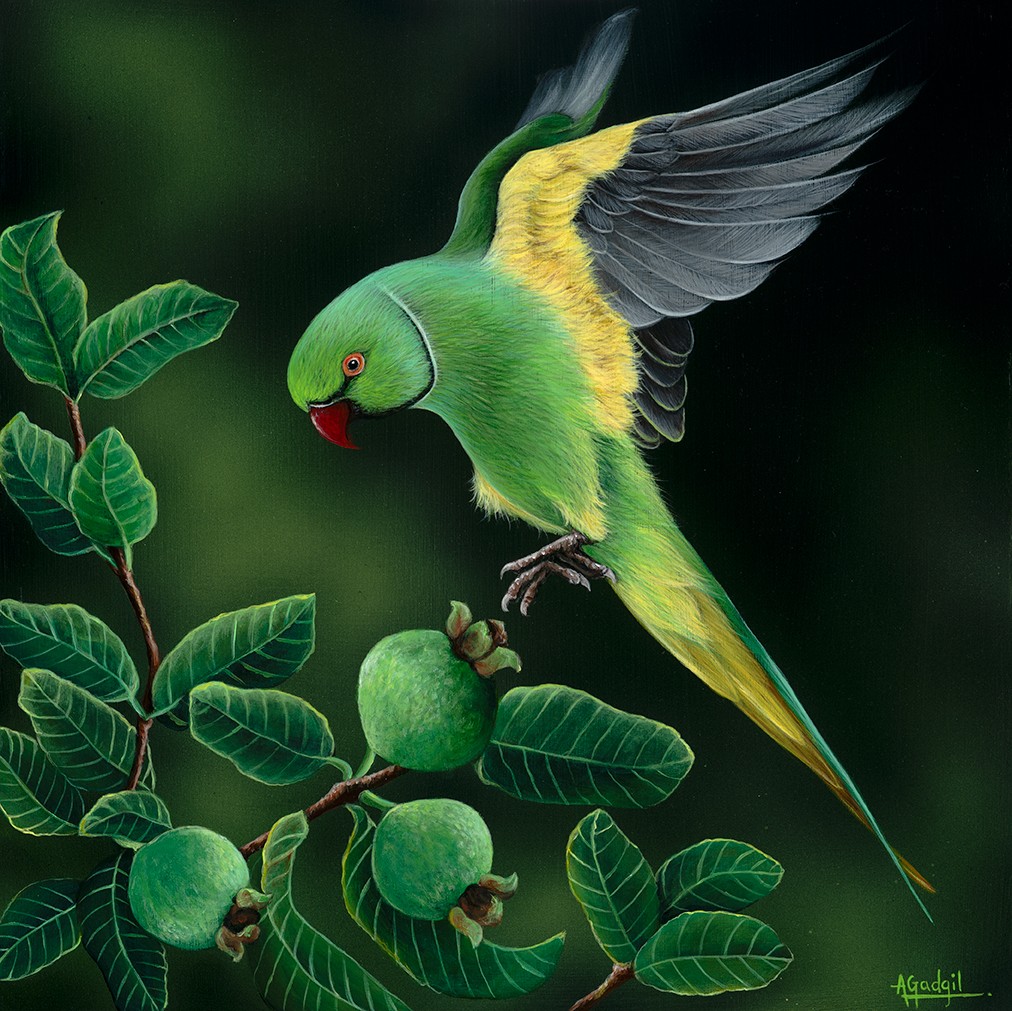A colorful bird with green, yellow, and black feathers perches on a branch with green fruit and leaves.