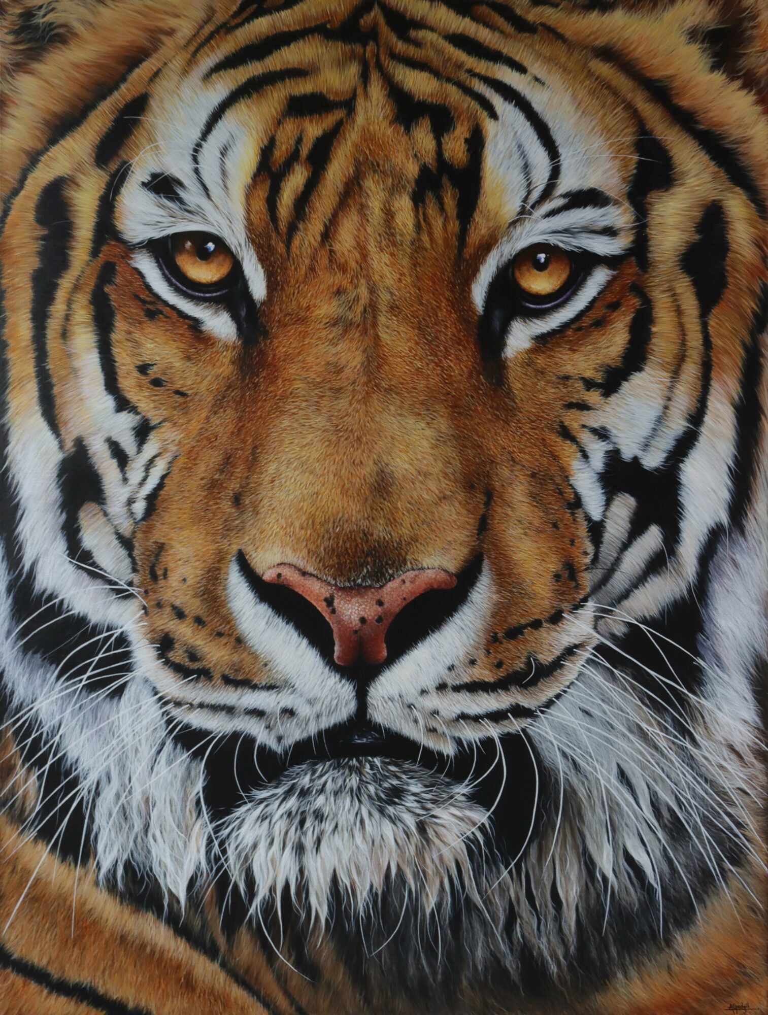 Close-up of a tiger's face with detailed fur and piercing eyes.