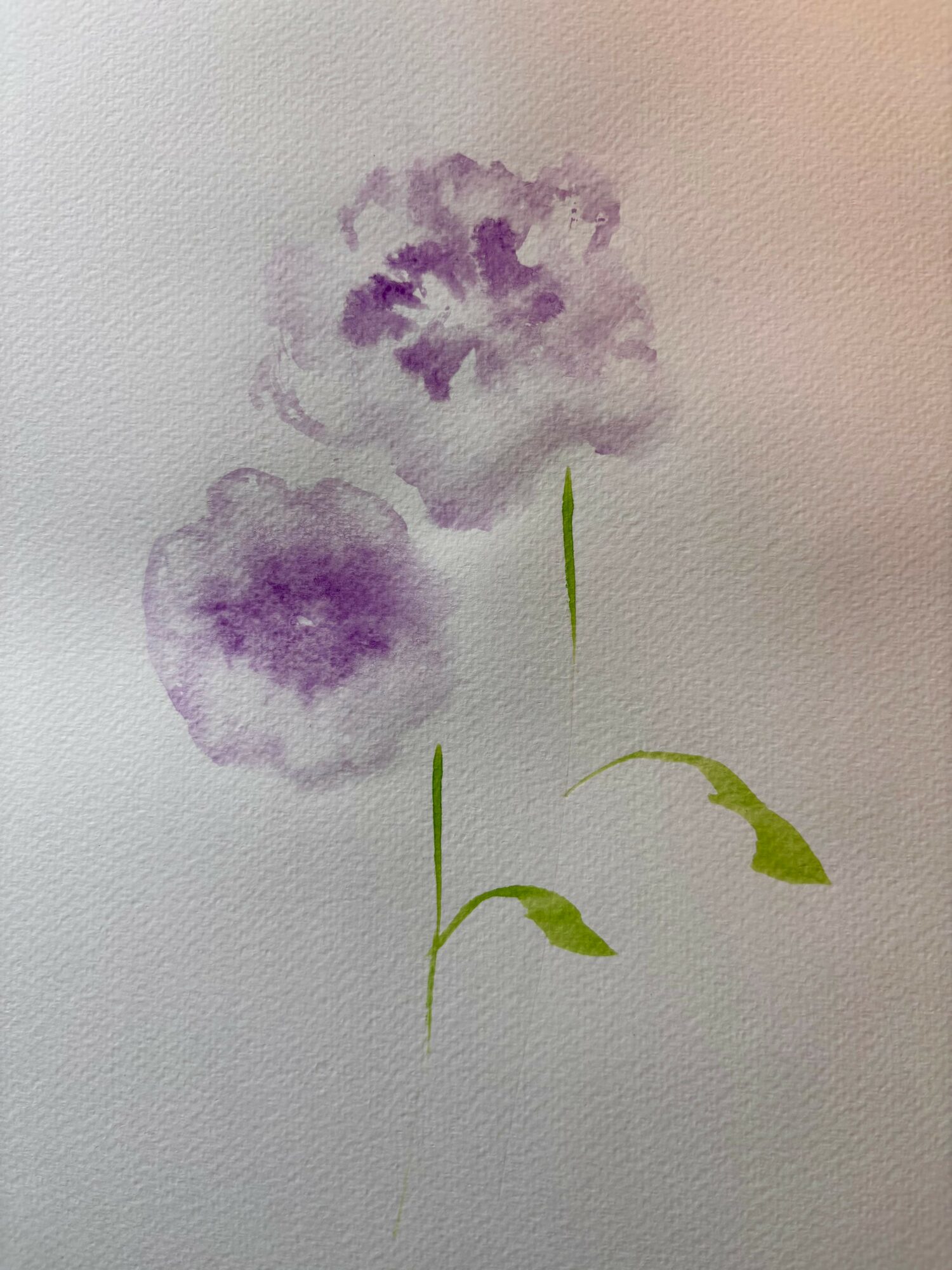 Watercolor painting of two purple flowers with green stems and leaves on a light background.