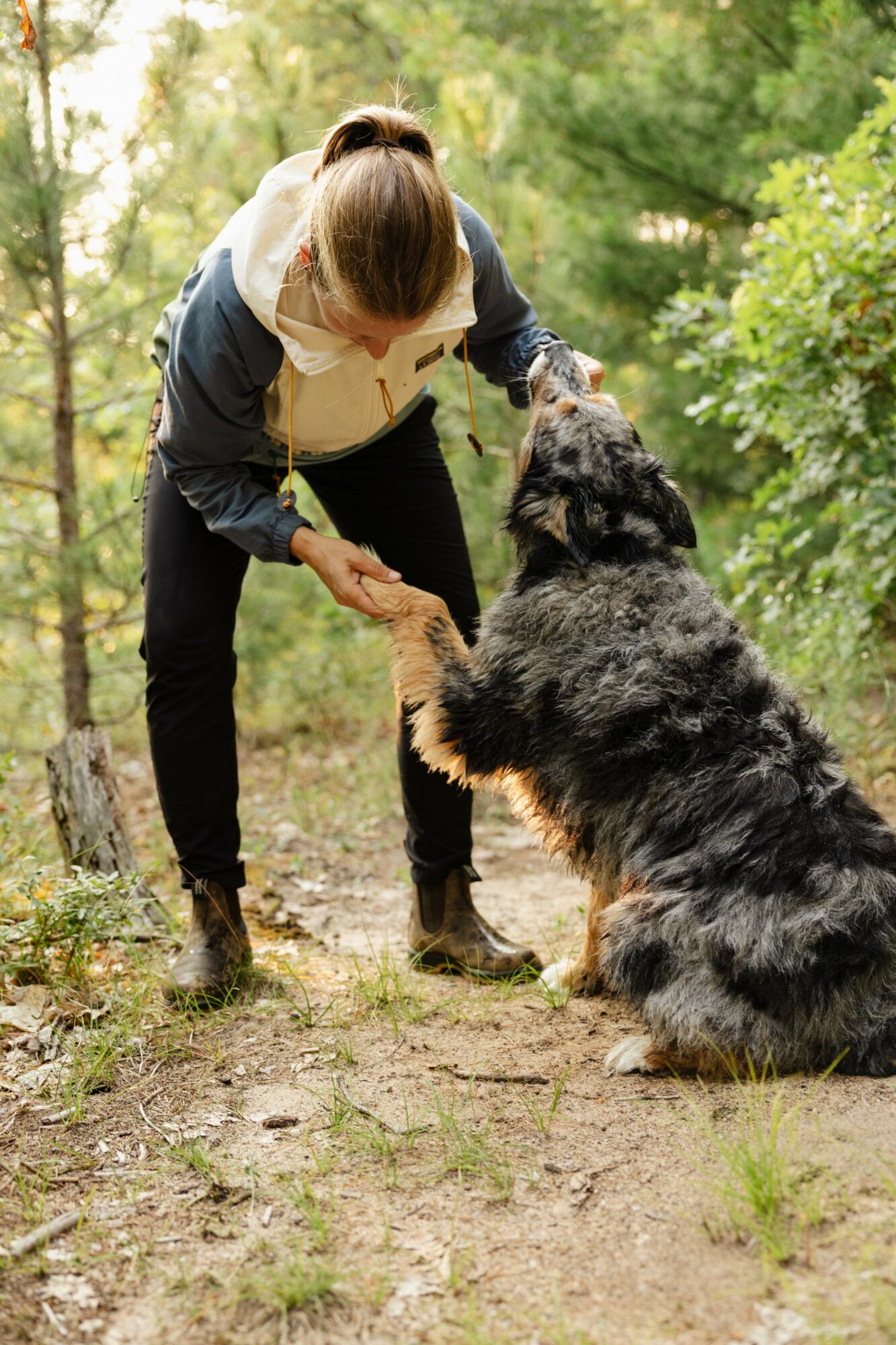 Person with brown hair in a ponytail, wearing a dark jacket and light-colored shirt, interacts with a large, black and gray dog outdoors.