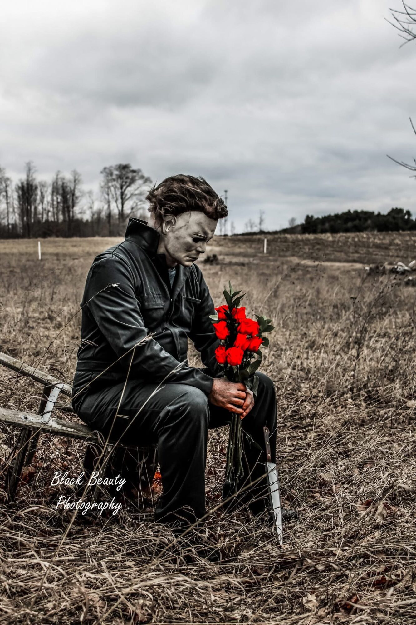Person sitting on a bench holding a bouquet of red flowers in an open field under cloudy sky.
