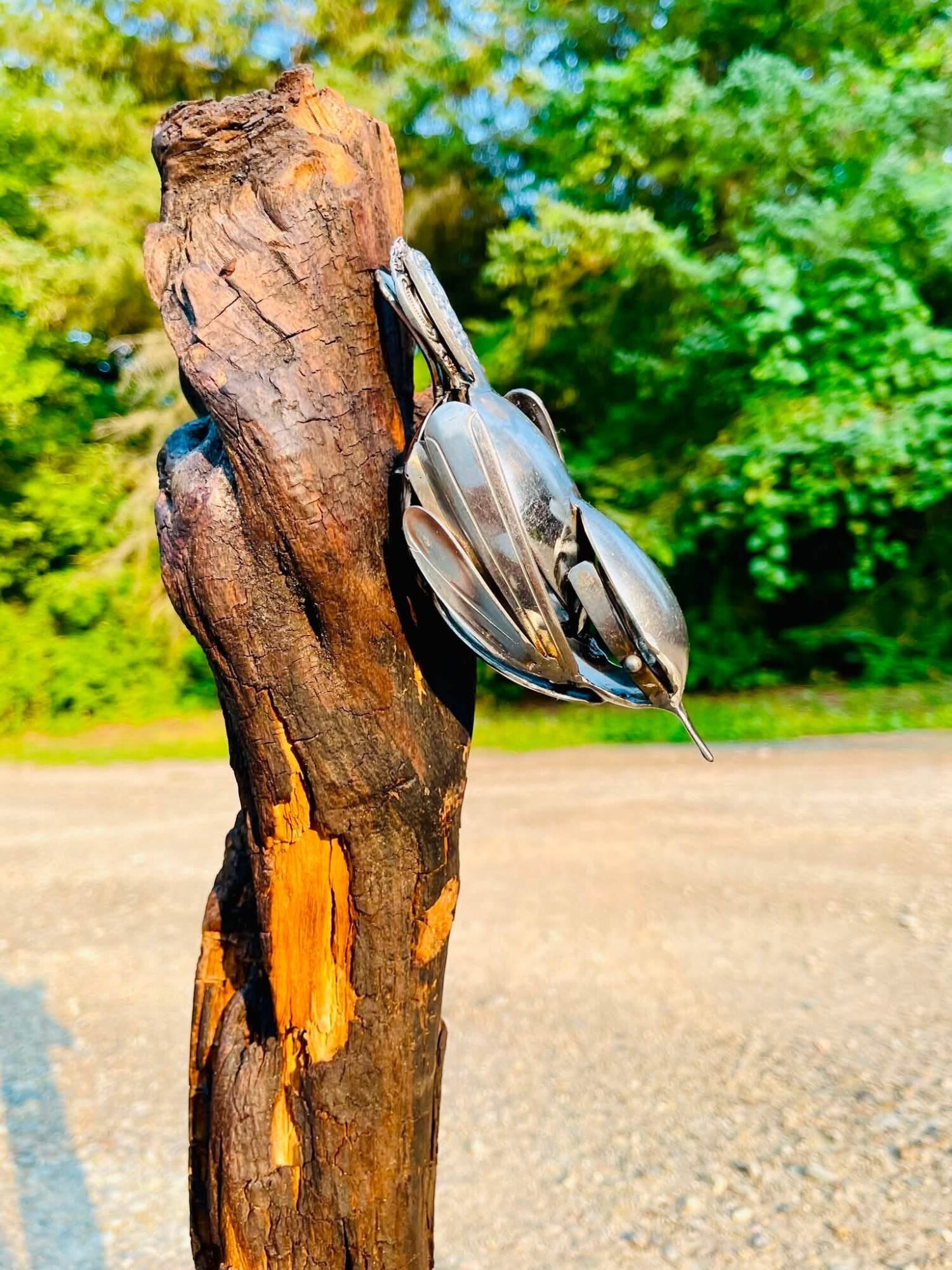 A bird perched on a weathered tree stump with green foliage in the background.