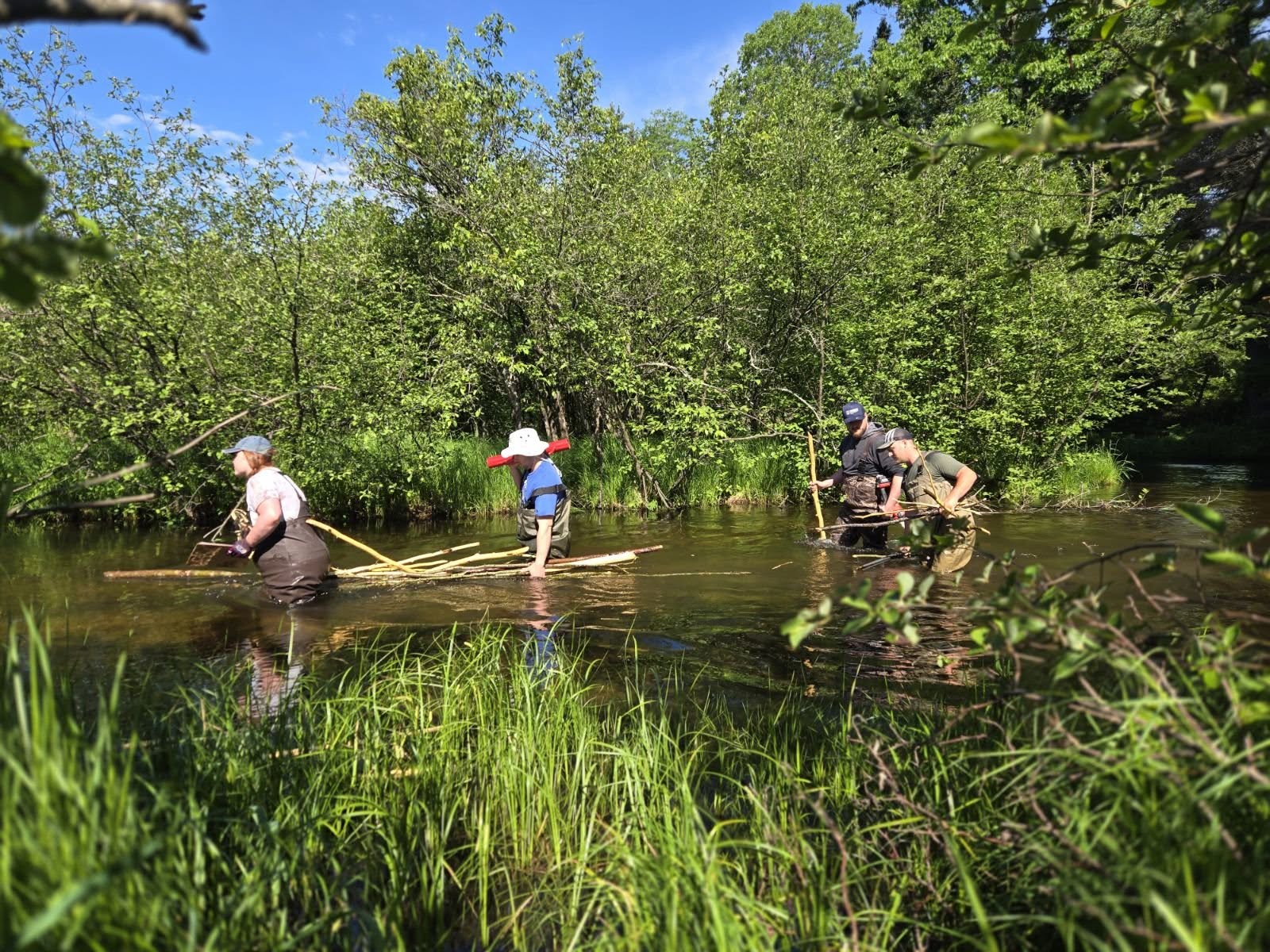 Three people wading through a shallow river surrounded by green trees and grass, with a blue sky overhead.